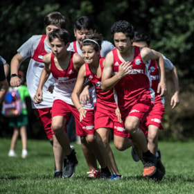 Middle School Cross-Country Run, 2019-2020 thumbnail