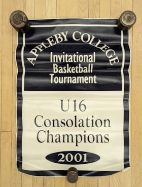 Banner - Basketball Champs 2001 thumbnail
