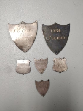 Old Boy Medals - Assorted Medals thumbnail