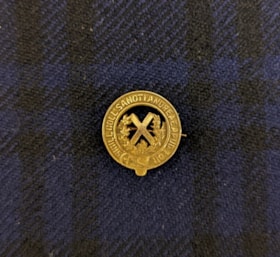 Pin - St. Andrew's College Crest thumbnail