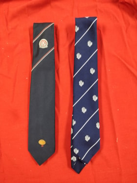 Rugby Ties - Rugby Tours '89 & '90 thumbnail