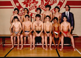 Second Swimming (2) 1984-85 thumbnail