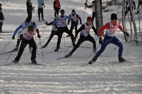 Nordic Skiing (6) 2011-12 thumbnail